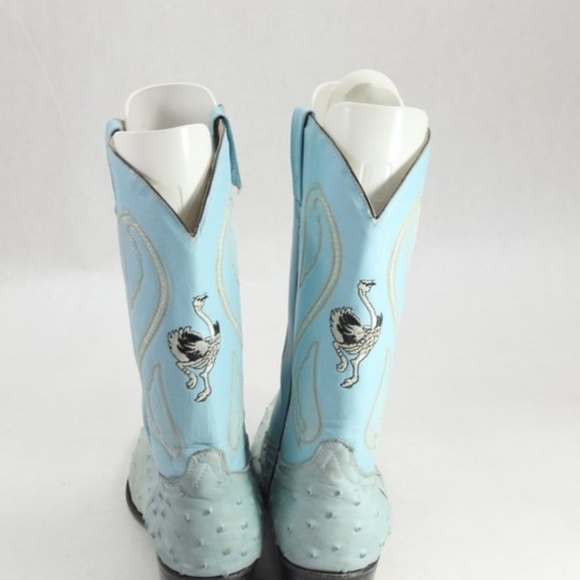 BEAUTIFULL BLUE OSTRICH - Picture 2 of 7